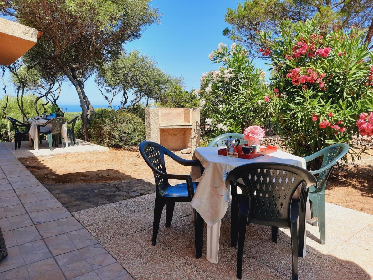 Oleandri Vista Mare